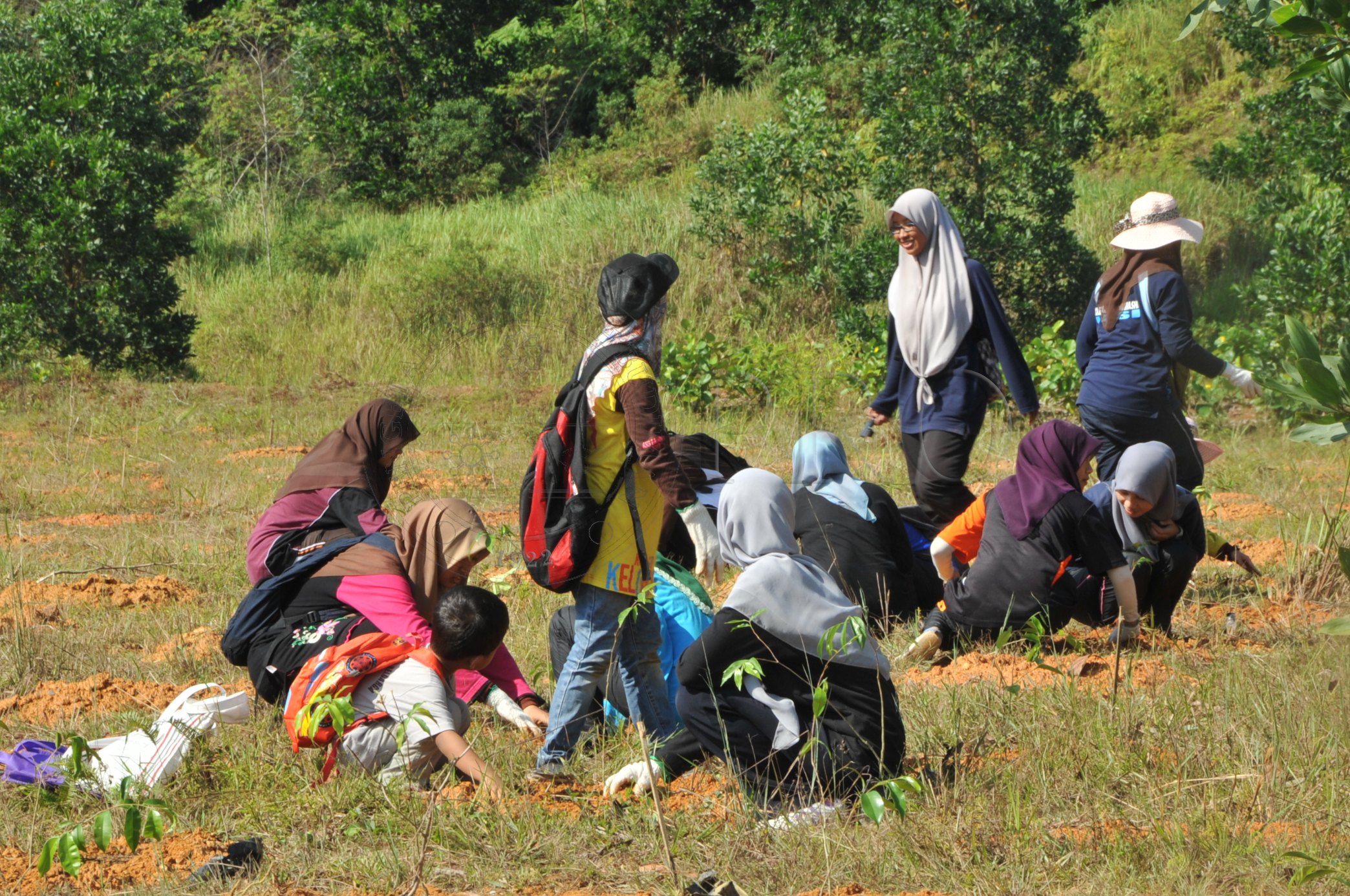 PRO 14 48 KARAS PRO 6779